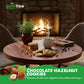 GuiltFree No Added Sugar Cookies 135g - Chocolate Hazelnut